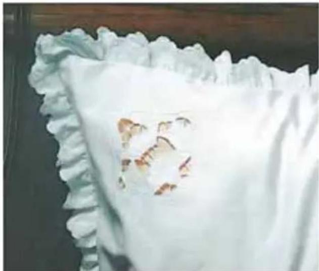 PFAFF select 1540 - Appliqué - 1