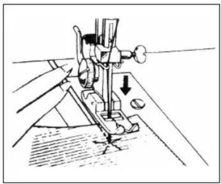 PRIMERA NM 900 - Démarrage des travaux de couture - 1