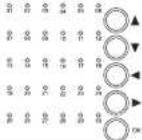 SINGER Future Quartet SEQS-6000 - There are two sets of markings on the inner hoop. - 14