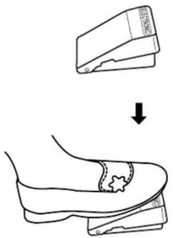 TOYOTA ESS224 - La boîte d'accessoires (fig. D) - 1