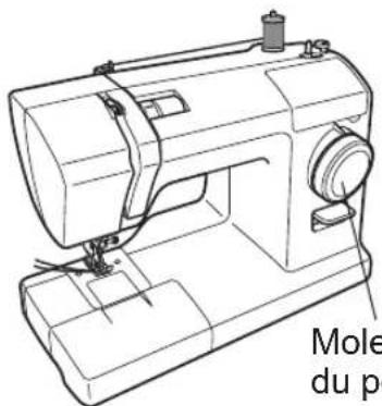 Mole du p