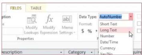 MICROSOFT Access 2013 - Long Text is the new Memo - 1
