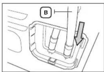 B