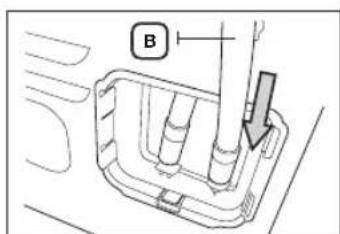 B
