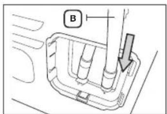 B