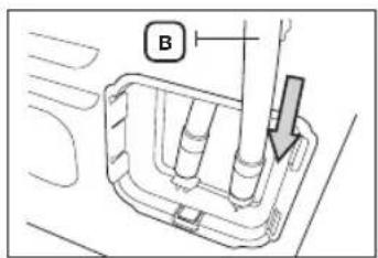 B
