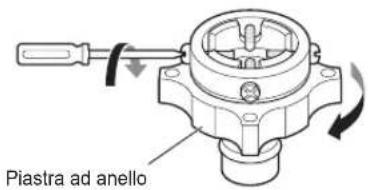 Piastra ad anello