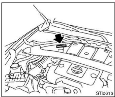 NISSAN 370Z Roadster (2012) - WHENTRAVELINGOR REGISTERING YOUR VEHICLE IN ANOTHER COUNTRY - 2