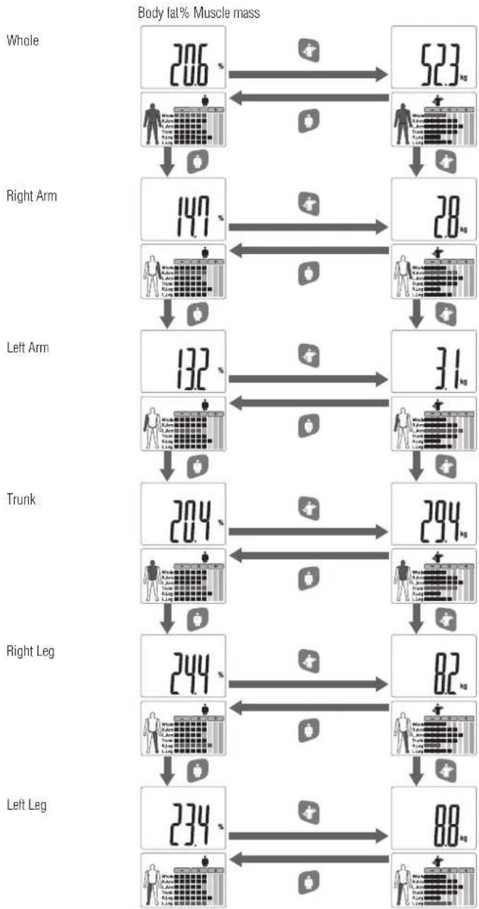 TANITA InnerScan V BC-545N - HOW TO SEE THE READING OF EACH SEGMENT - 1