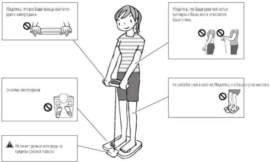 TANITA InnerScan V BC-545N - Ознакомление с результатами - 2