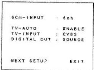 6CH-INPUT : 6ch TV-AUTO : ENABLE TV-INPUT : CVBS DIGITAL OUT : SOURCE NEXT SETUP EXIT