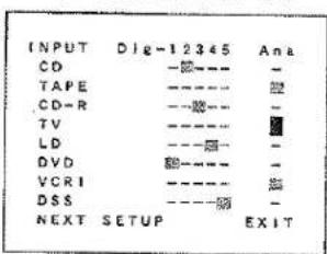 INPUT Dig-12345 Ana CD -——— - TAPE -——— CD-R -——— - TV -——— LD -——— DVD -——— - VCRI -——— DSS -——— NEXT SETUP EXIT