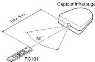 Capteur infrarouge Eny. 5 m 60° RC101