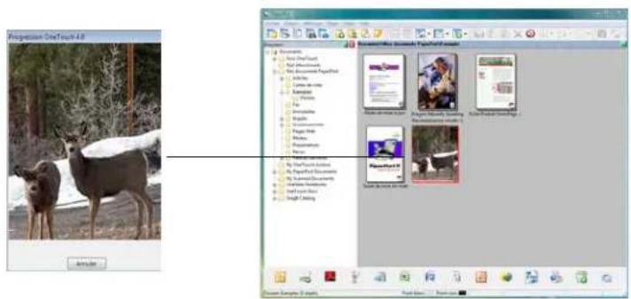 XEROX DocuMate 515 - Numérisation à partir du panneau de boutons One Touch - 3