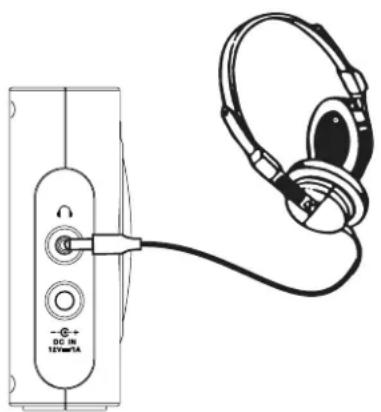 SANGEAN DPR-99 - IMPORTANT: - 1
