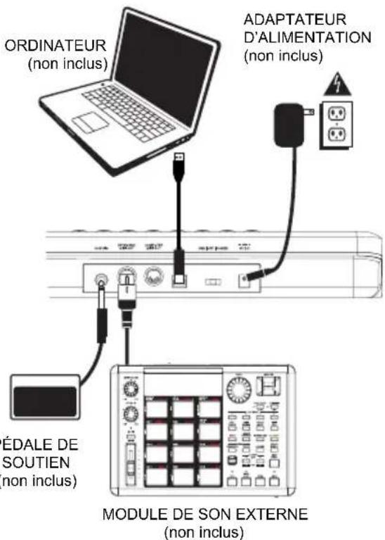 ALESIS QX61 - SCHÉMA DE CONNEXION - 1