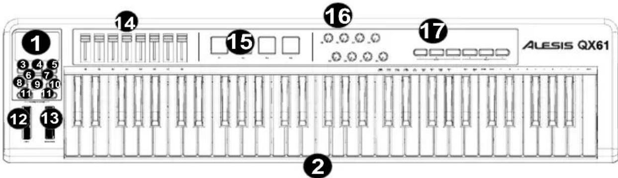 ALESIS QX61 - VISTA DEL PANEL SUPERIOR - 1