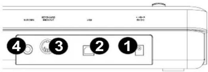 ALESIS Q61 - FUNKTIONSELEMENTE GERÄTERÜCKSEITE - 1