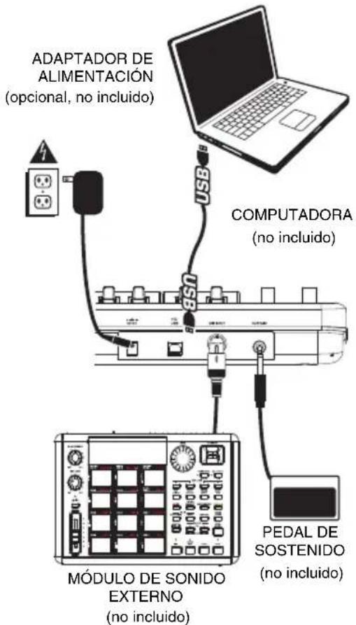 ALESIS Q25 - DIAGRAMA DE CONEXIÓN - 1