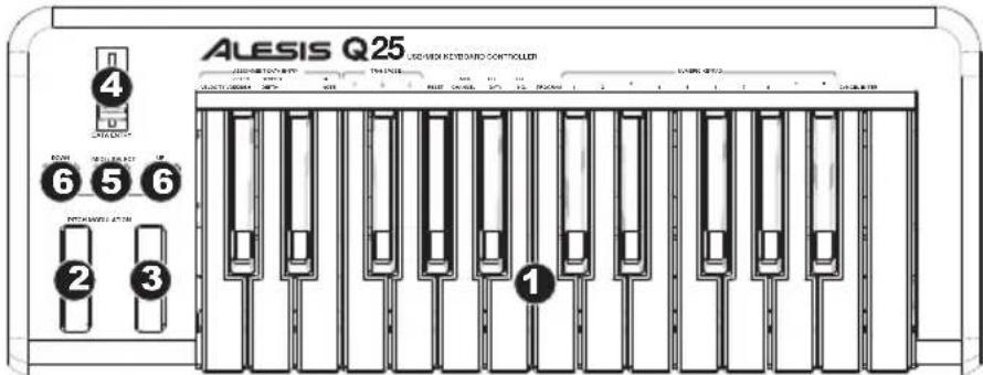 ALESIS Q25 - CLAVIER - Le clavier - 1