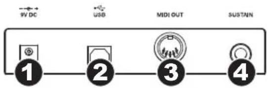 ALESIS Q25 - NETZANSCHLUSS FÜR GLEICHSTROMADAPTER - 1