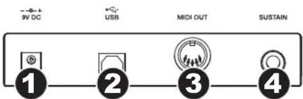 ALESIS Q25 - VISTA DEL PANEL TRASERO - 1