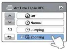 Art Time Lapse REC Off Normal Jumping Zooming