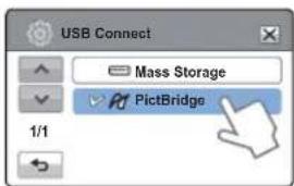 USB Connect Mass Storage PictBridge