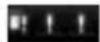 EASYPIX EasyPad 730 Satellite 3G - EASYPAD® 730 SATELLITE 3G - 1