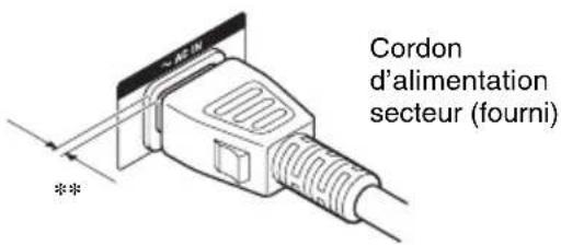 Cordon d'alimentation secteur (fourni)