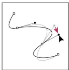 ADOBE Photoshop CC - Adjust the position or shape of curved segments - 4