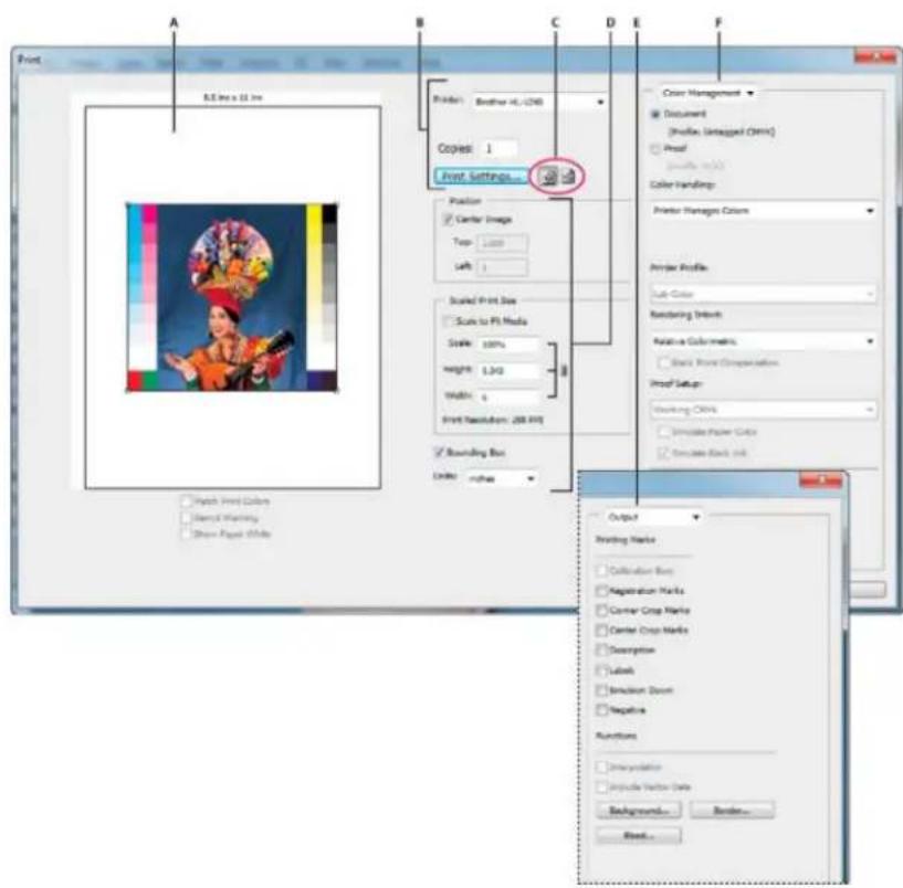 ADOBE Photoshop CC - Set Photoshop print options and print - 1