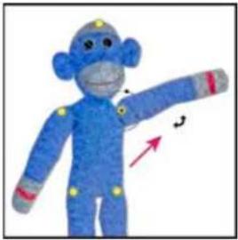 ADOBE Photoshop CC - Puppet Warp - 6