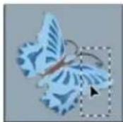 ADOBE Photoshop CC - Move a selection border - 2