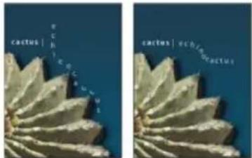 ADOBE Photoshop CC - Book excerpt: Create type on a path - 3