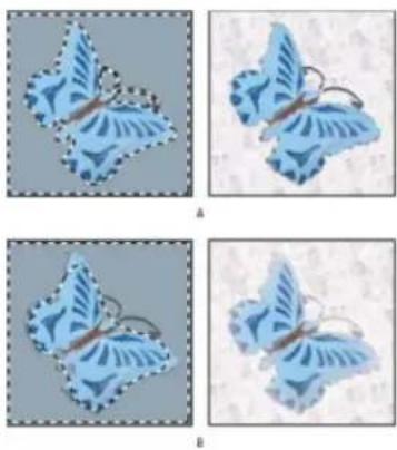 ADOBE Photoshop CC - Define a feathered edge for an existing selection - 1
