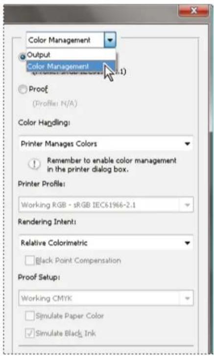 ADOBE Photoshop CC - Let printer determine printed colors - 1