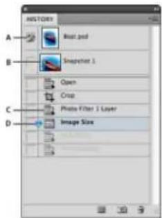 ADOBE Photoshop CC - Using the History panel - 1