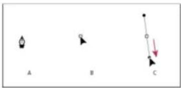 ADOBE Photoshop CC - Draw curves with the Pen tool - 1