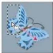 ADOBE Photoshop CC - Move a selection border - 1