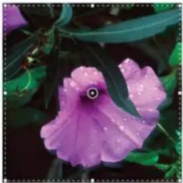 ADOBE Photoshop CC - Reduce camera shake blurring - 2