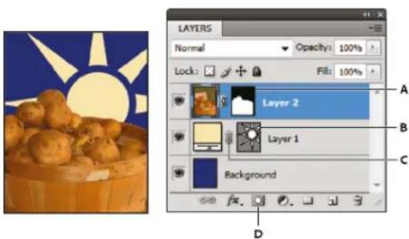 ADOBE Photoshop CC - About layer and vector masks - 1
