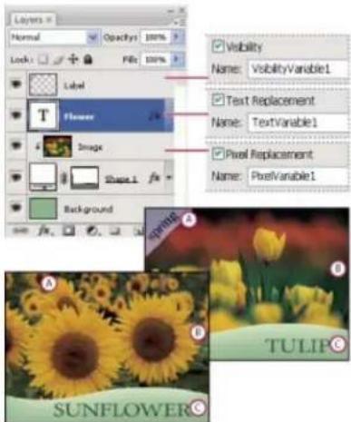 ADOBE Photoshop CC - Define variables - 1