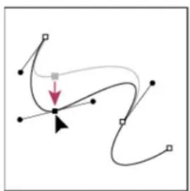 ADOBE Photoshop CC - Adjust the position or shape of curved segments - 3