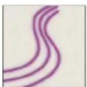 ADOBE Photoshop CC - Transfer brush options - 1