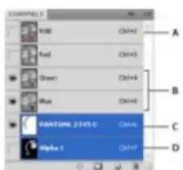 ADOBE Photoshop CC - Select and edit channels - 1