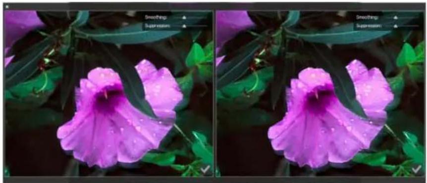 ADOBE Photoshop CC - Camera shake reduction improvements - 1