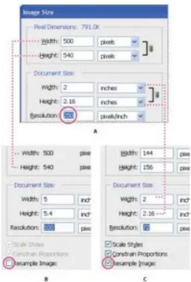 ADOBE Photoshop CC - About pixel dimensions and printed image resolution - 3