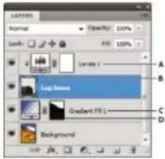 ADOBE Photoshop CC - Create and confine adjustment and fill layers - 1