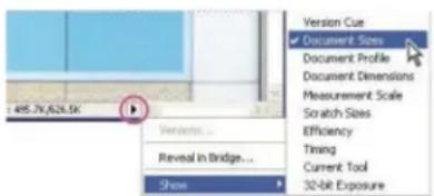 ADOBE Photoshop CC - Display file information in the document window - 1